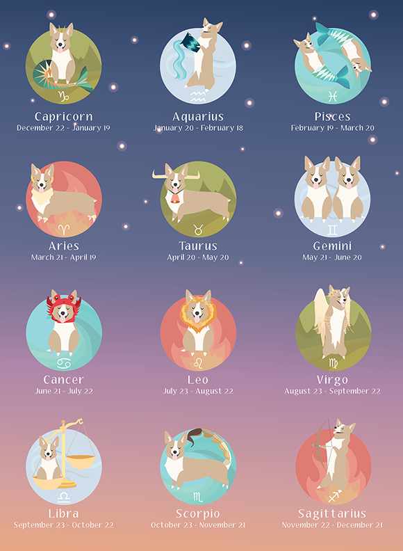 Dog Horoscope Today: Your Pups Daily Dose of Cosmic Guidance!