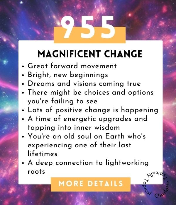 955 Angel Number Twin Flame: Is It a Sign Your Twin Flame Reunion Is Near