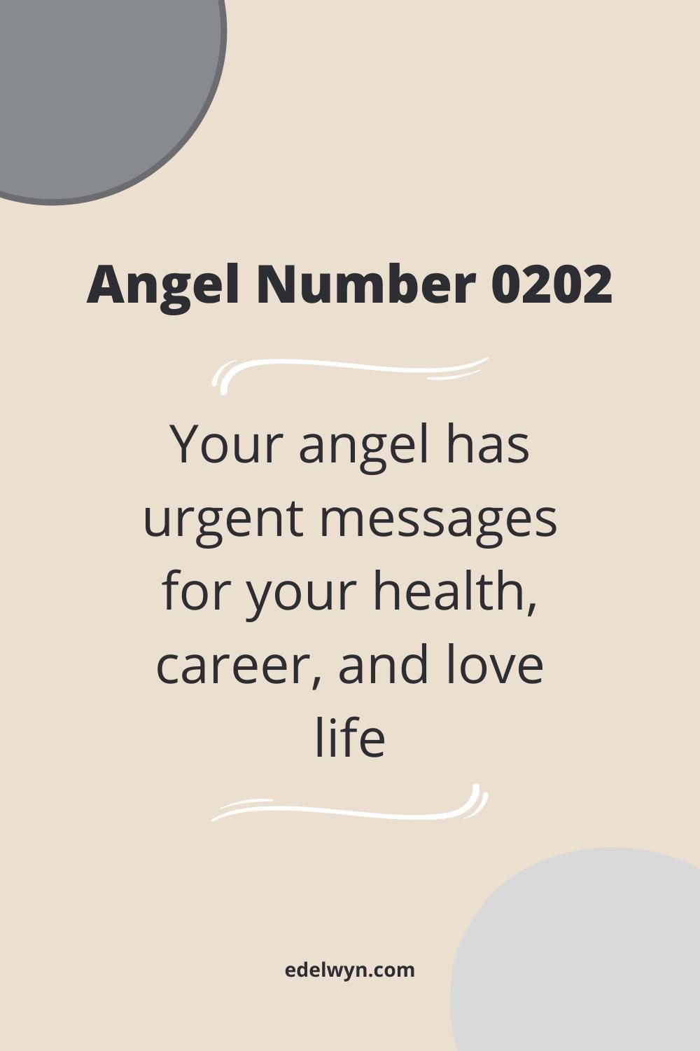 0202 Angel Numbers: What Are They Trying to Tell You?