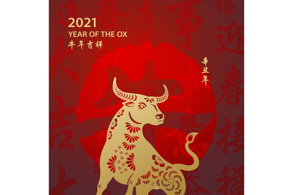 Need to know your ox horoscope today? Get the daily dose youre looking for!