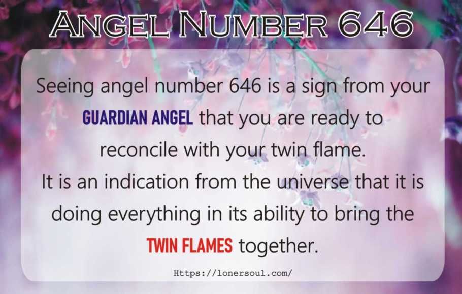 Angel Numbers 646 The Truth, What Does This Number Mean for You?