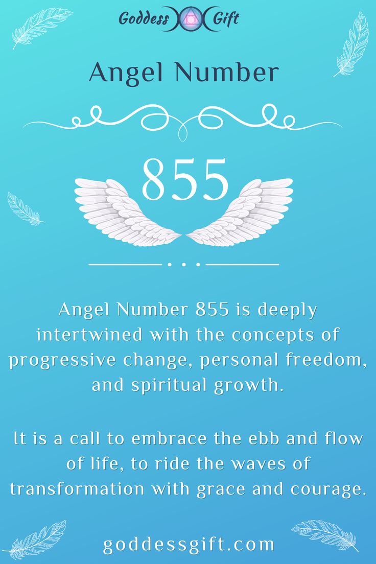 The Meaning of 855 Angel Number Twin Flame: A Guide to Love and Connection!