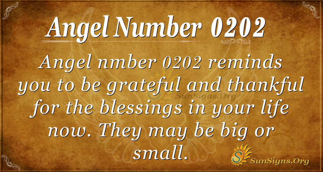 0202 Angel Numbers: What Are They Trying to Tell You?