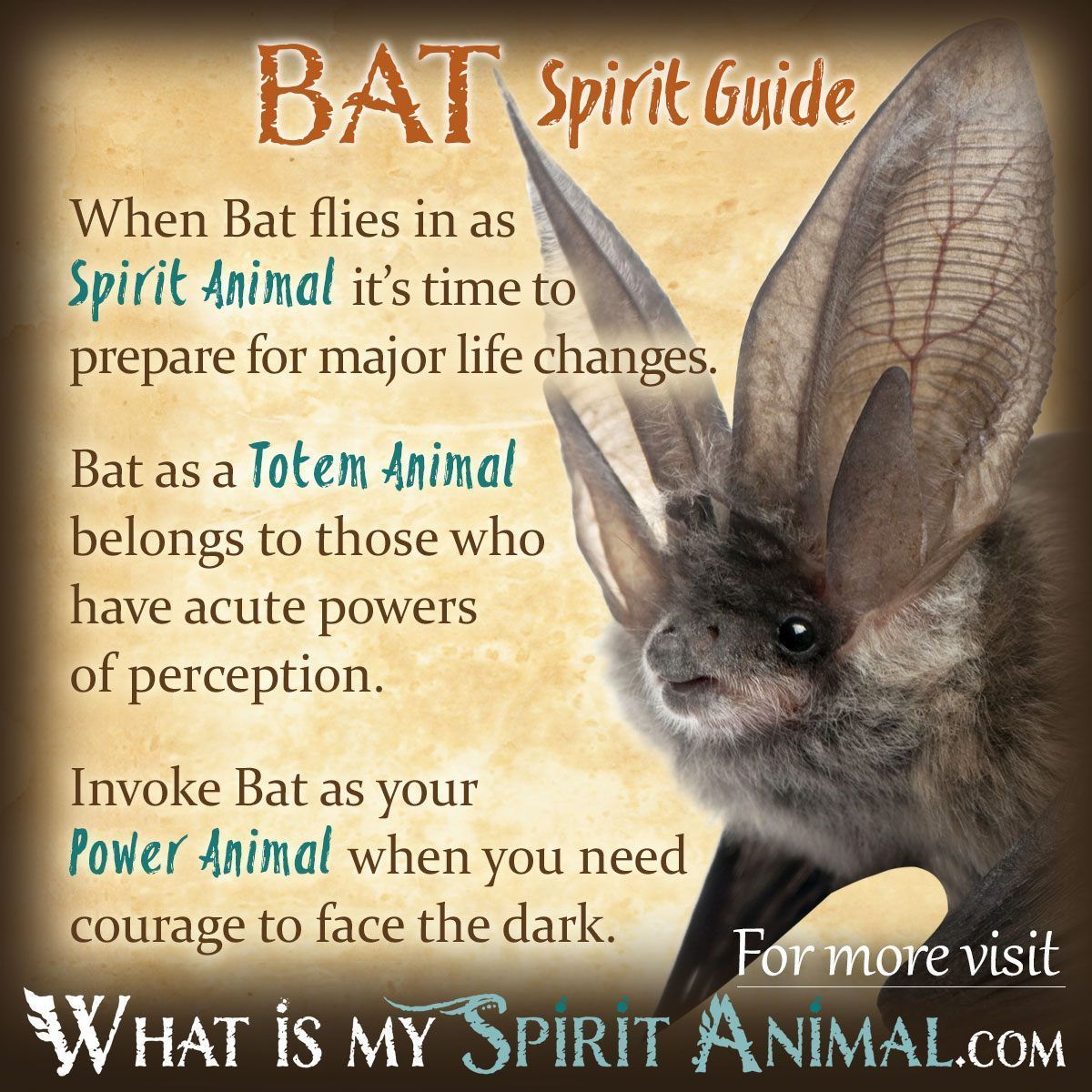 Bats in Astrology: Explore Their Symbolic Meaning in Horoscopes.