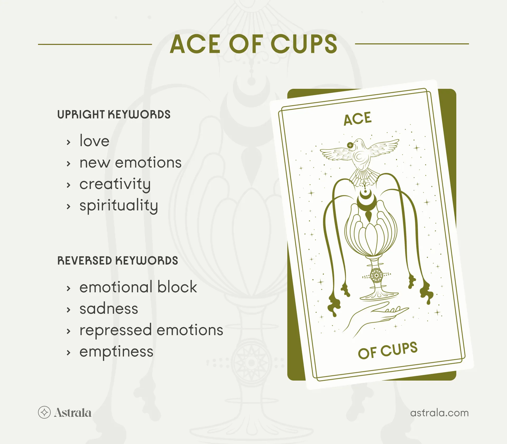 Ace of Cups and Ace of Pentacles together: A guide to their meaning in Tarot for beginners!