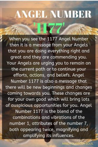 1177 Angel Number Meaning (Whats the Secret Message Behind This Number?)