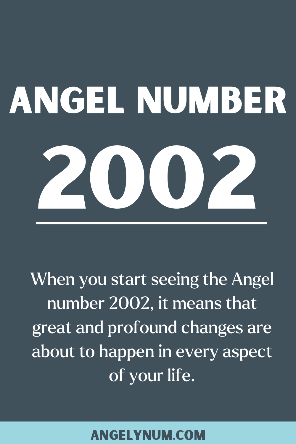 Seeing 2002 Angel Numbers? This is What They Could Mean For You.