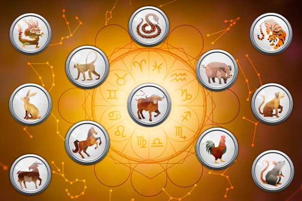 Daily Ox Horoscope: Whats in Store for Your Zodiac Sign Today?