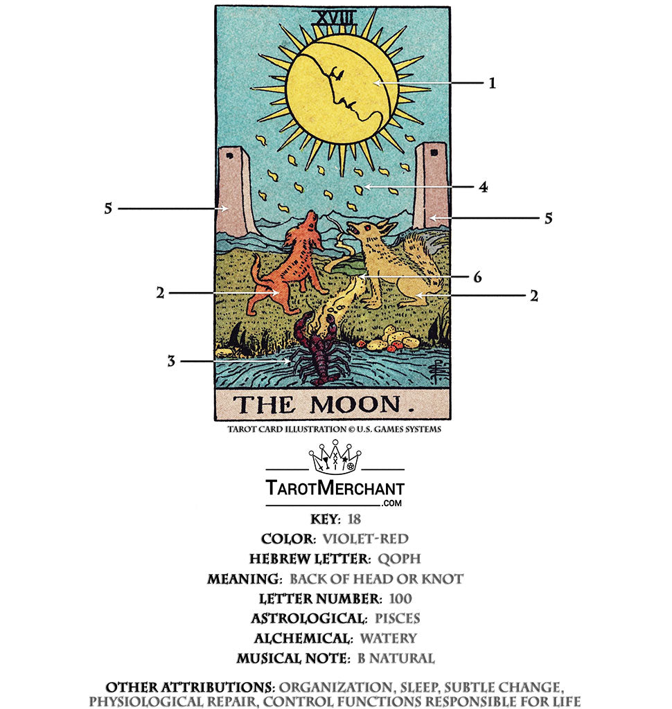 What Do The Sun and The Moon Tarot Cards Mean? Find Out Here!