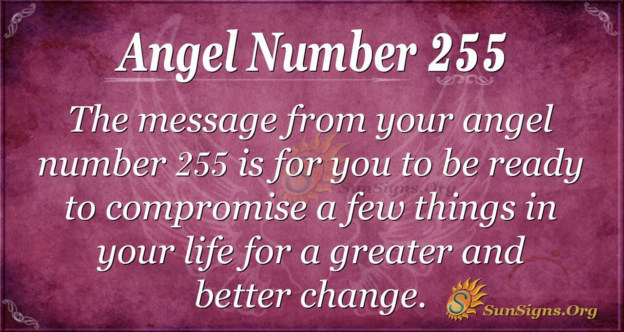 255 Angel Number Love: What Does It Mean for Your Relationships and You?