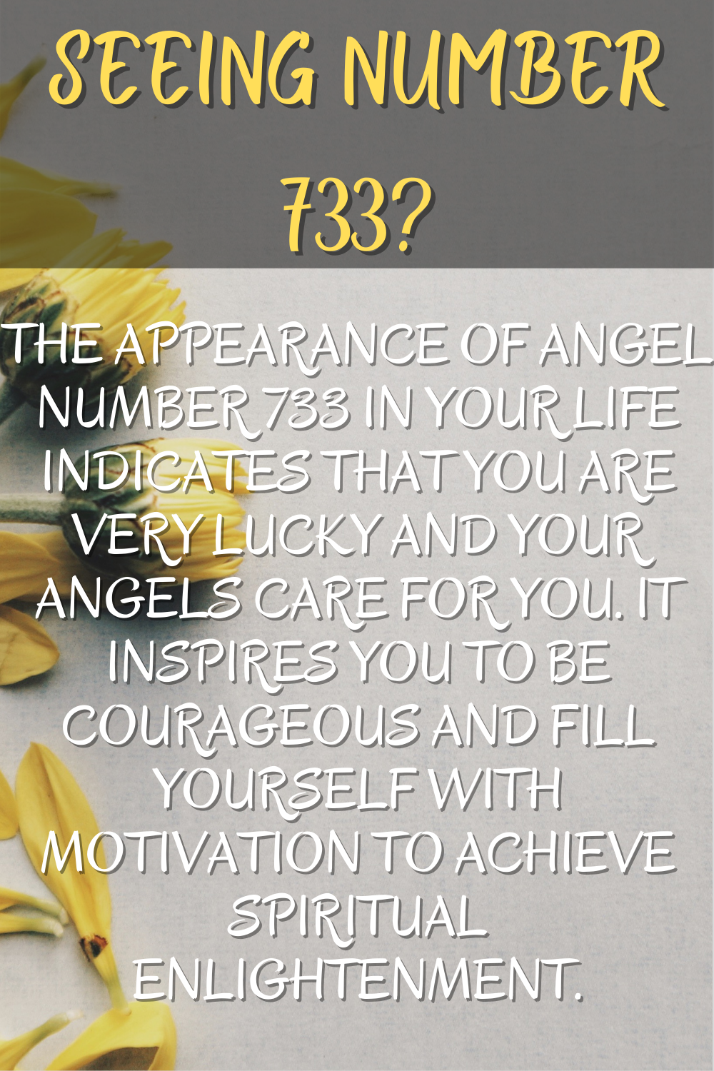 What Does 733 Angel Number Mean for Your Twin Flame Journey?