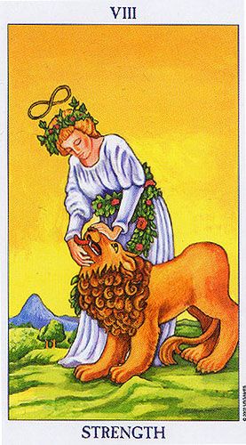 Tarot Strength as Feelings: Discover the True Meaning of Strength in a Reading About Love and Relationships.