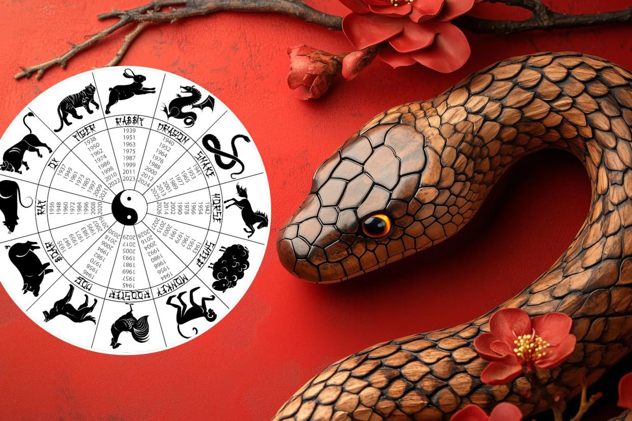 Read Your cancer snake horoscope: a detail guide for your future today.